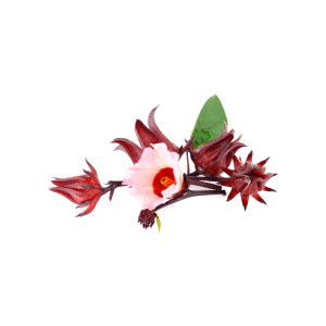 OSEILLE de Guinée (Bissap)  