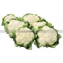 CHOU Fleur Whiterock  