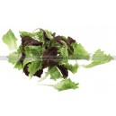 MESCLUN Crètois 