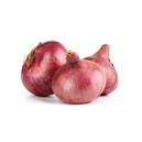 OIGNON rouge Morada de Amposta
