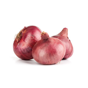OIGNON rouge Morada de Amposta