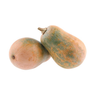 COURGE Sucrine du Berry  