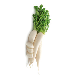 RADIS Daikon (Miyashige)