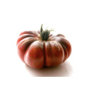 TOMATE Purple calabash