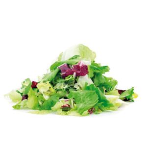 MESCLUN de Chicorées