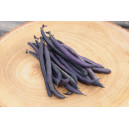 HARICOT Nain mangetout Purple Queen