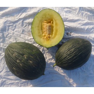 MELON Vert olive dhiver