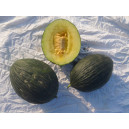 MELON Vert olive dhiver