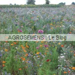 Marévert serres - semence agrosemens