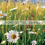 prairie - engrais vert- semence agrosemens