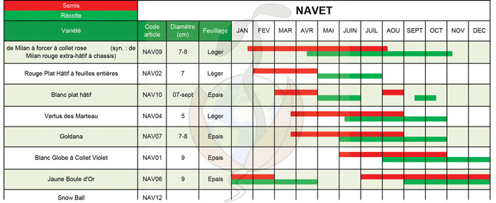 tableau-semis-Navet-ok