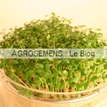 graines germees bio - semences bio Agrosemens