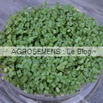 graines germées bio - semences bio AGROSEMENS