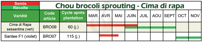 CalendrierBrocoliSprouting