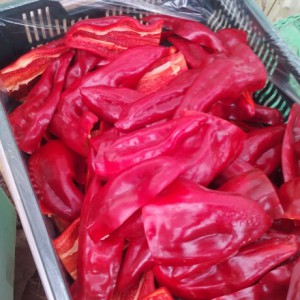 piment -bio AGROSEMENS