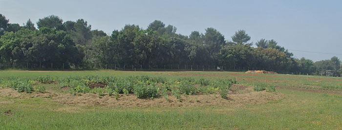 Ferme semenciere bio - AGROSEMENS