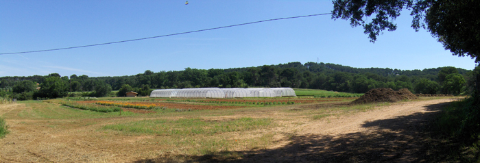 ferme du Petit Sambuc AGROSEMENS