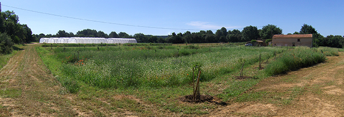 ferme du Petit Sambuc AGROSEMENS