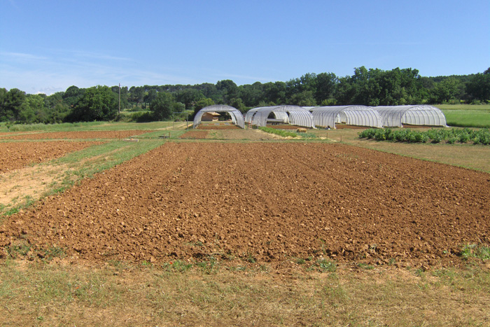 ferme du Petit Sambuc à Aix en Provence AGROSEMENS