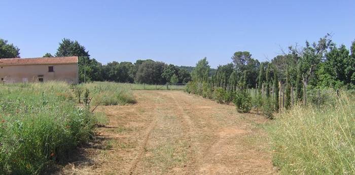 haie ferme du Petit Sambuc à Aix en Provence AGROSEMENS