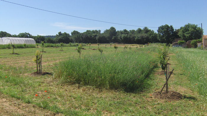 ferme du Petit Sambuc à Aix en Provence AGROSEMENS