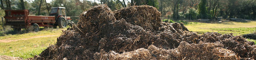 ferme semenciere bio - AGROSEMENS