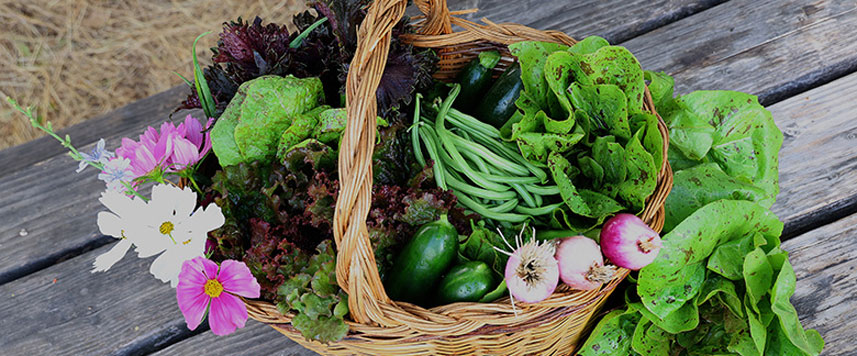 panier de récoltes