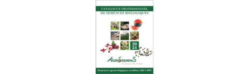 Catalogue papier