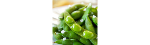 Soja Edamame