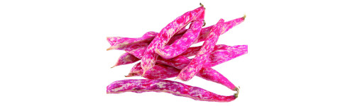 A Rames à Ecosser A Rames à Ecosser