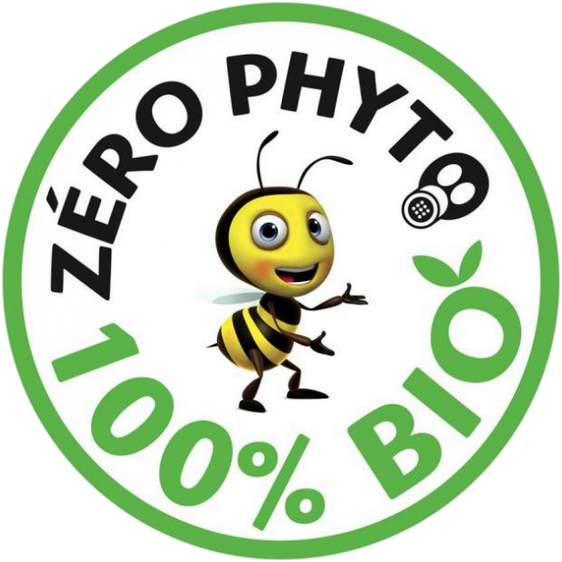 zero phyto